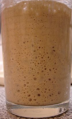blasiger Roggensauerteig