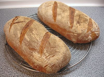 Brot mit Maismehl