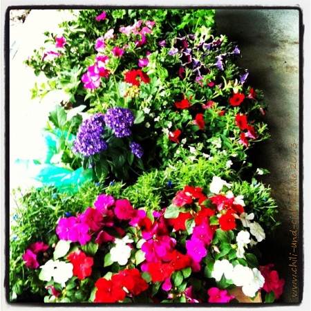 Blumenkauf 2013