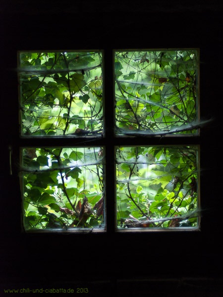 Lost Place Fensterausblick