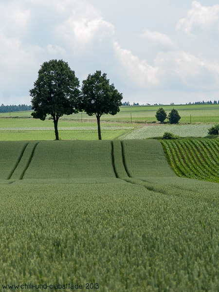 Cacherunde bei Haunersdorf, Nähe Landau