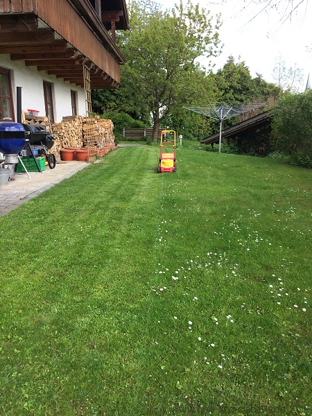 Rasen mähen her
