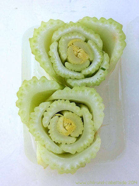 Versuch: how to regrow celery