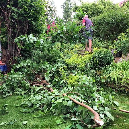 Gartenarbeit Auslichten