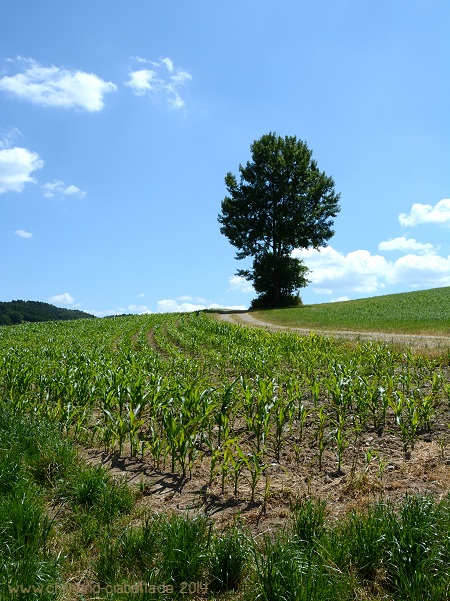 Cachetour bei Miltach