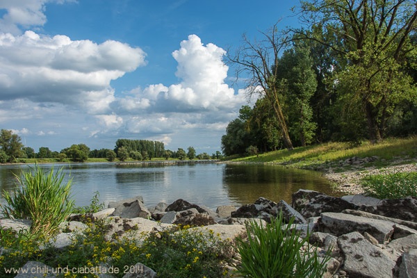 Donauinsel