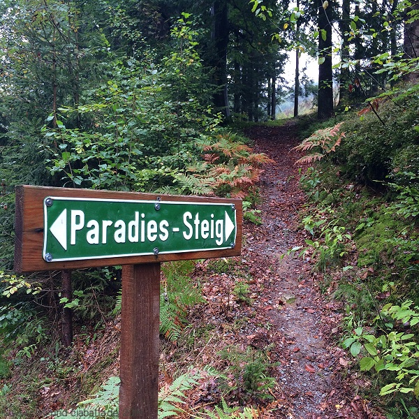 Paradies-Steig