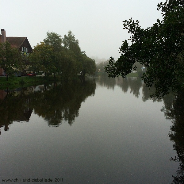 Der Regen in Regen