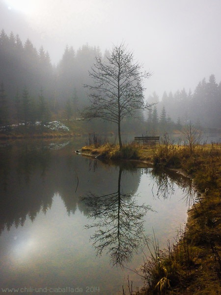 Idylle am Weiher