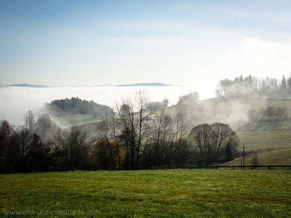 Blick von Seigersdorf