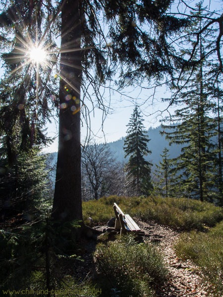 Am Wanderweg 12 zu den Risslochfällen