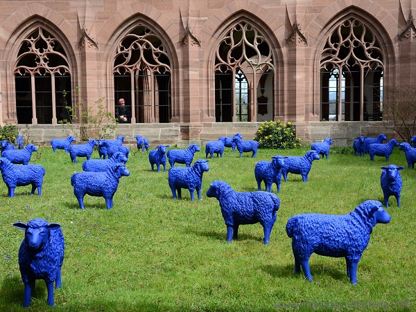 blaue Friedensherde Münster Basel