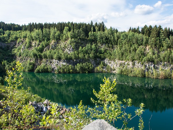 Wildtier Granitweiher