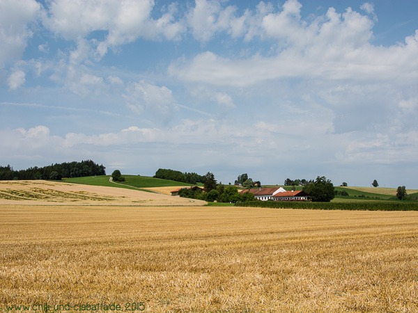 Ausblick