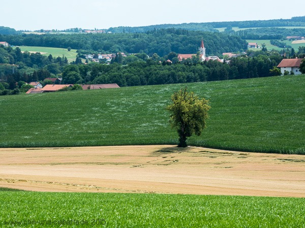 Rückweg