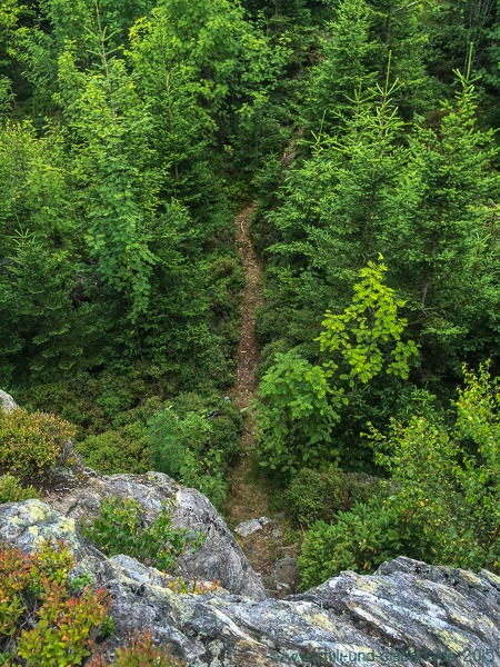 Abstieg zum Weg