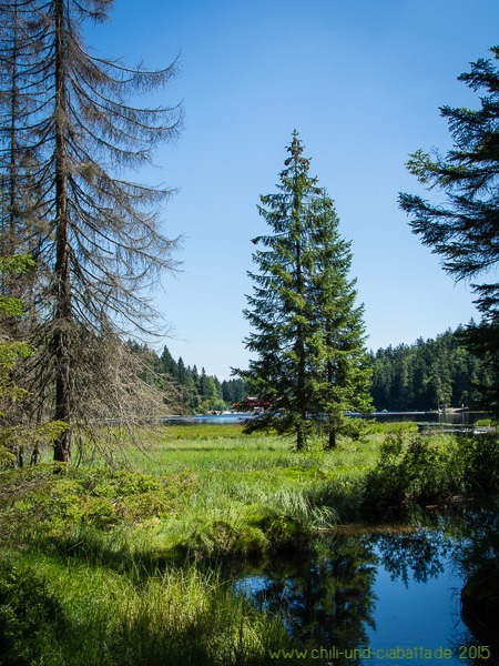 Am großen Arbersee
