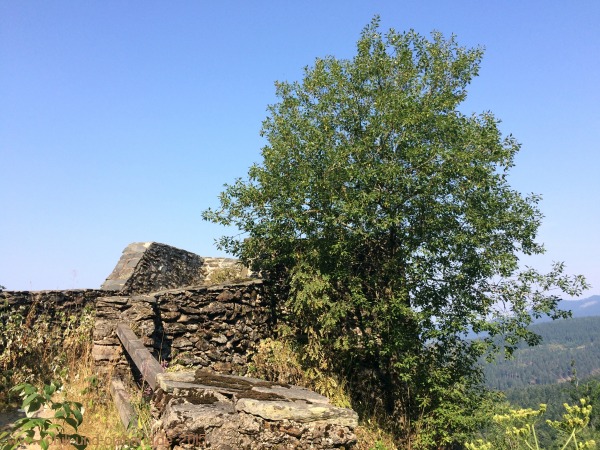 Hindenburgkanzel