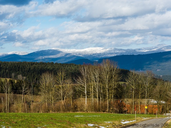 Blick auf den Arber-Hauptkamm
