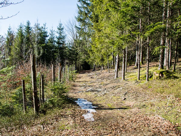 Waldkapellenweg