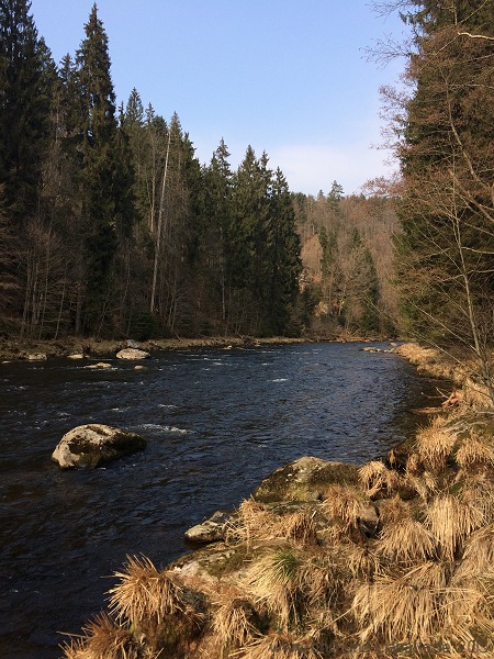 Am schwarzen Regen bei Bärmannsried