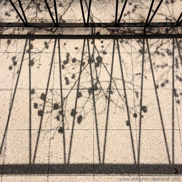 Schattenspiele