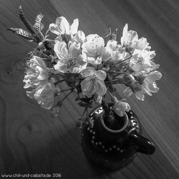 Kirschblüten