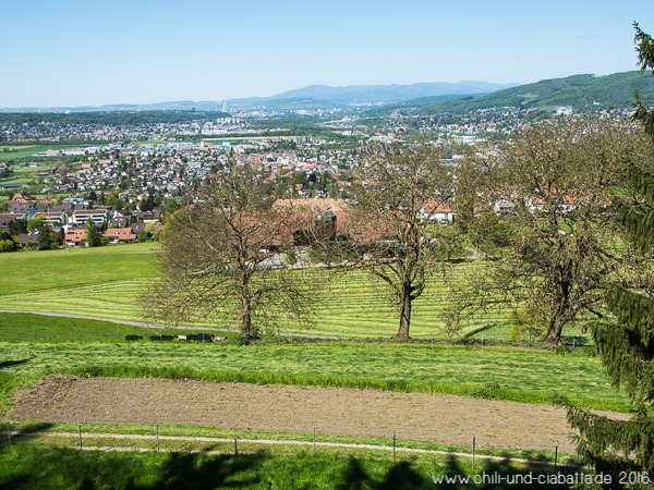 Blick auf Basel
