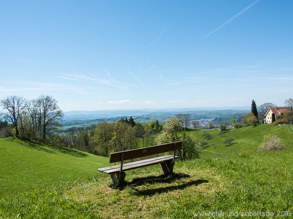 Hohe Möhr Powertrail, bei Schweigmatt