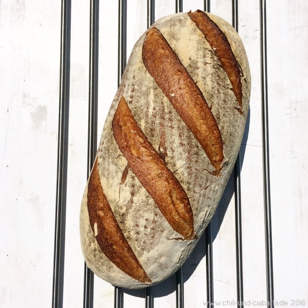 Alltagsbrot Brotdoc