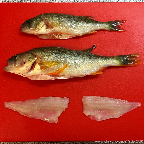 Barsche filetieren