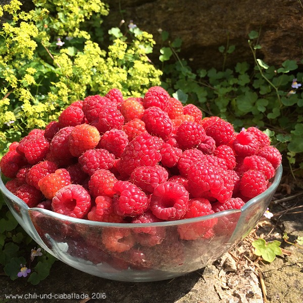 Himbeeren