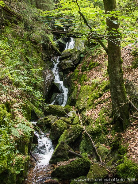 Wasserfallsteig Brücke