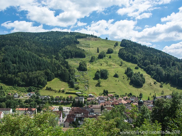 Ausblick Todtnau