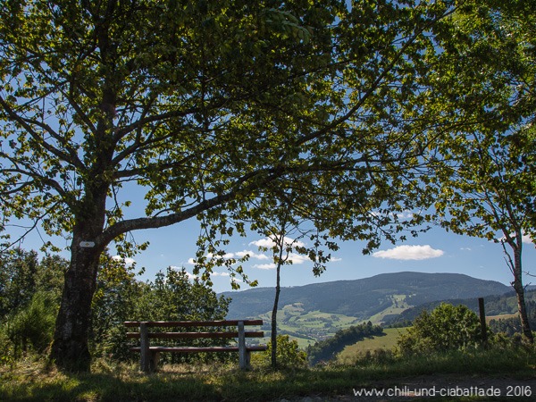 Rundwanderung Dietenbach