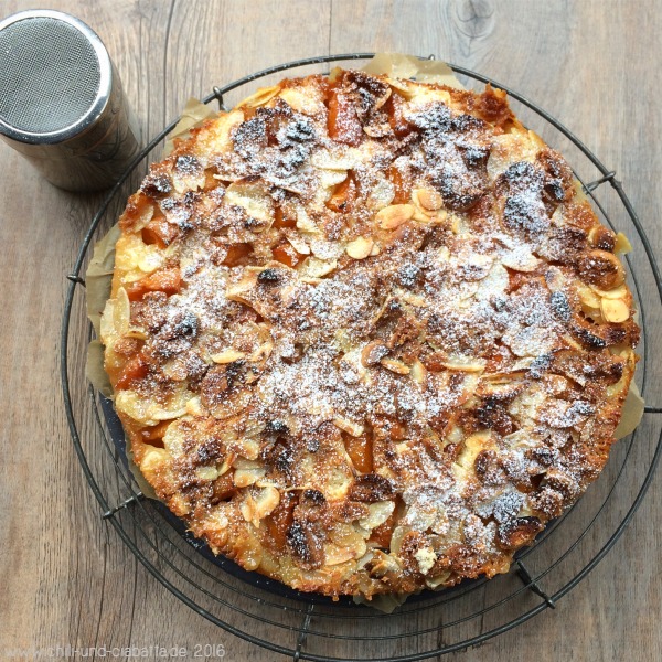 Aprikosenkuchen