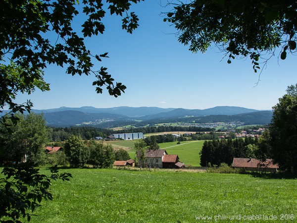 Blick auf Frankenried