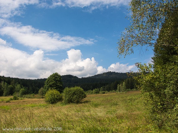Naturschutzgebiet Stockauwiesen