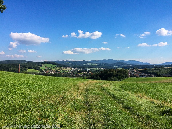 Blick Richtung Teisnach