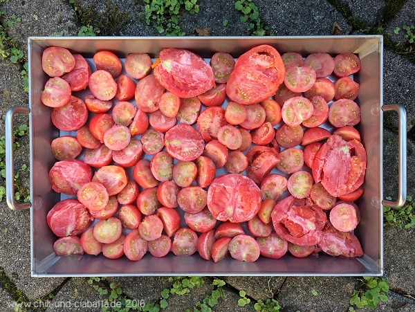 Tomaten vor dem Backofen