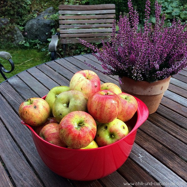 Äpfel