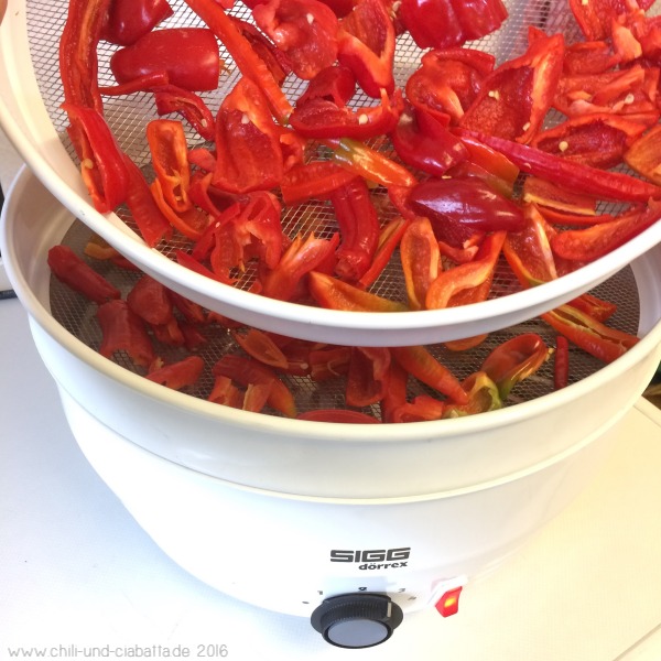 Rote Chilis auf dem Dörrex