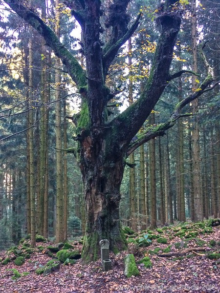 Auf dem Weg zur Loderhart