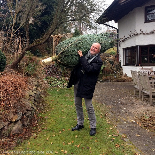 ein Weihnachtsbaum ist im Haus