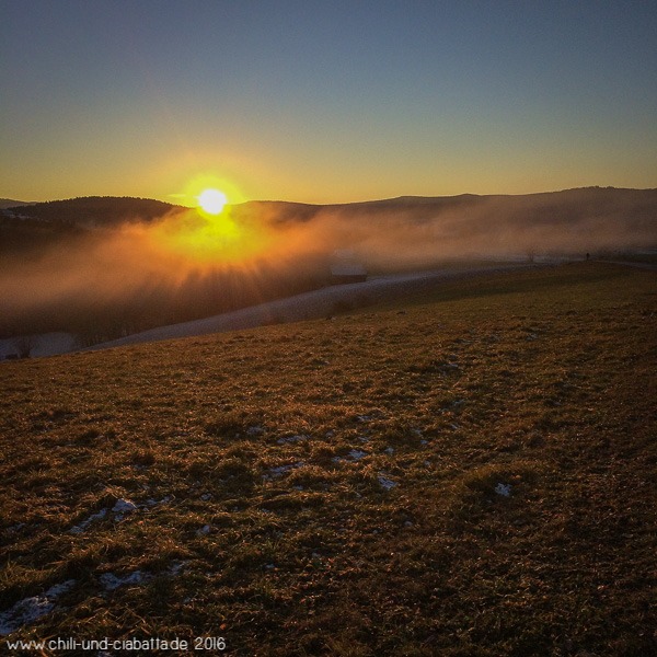 letzte Sonnenstrahlen