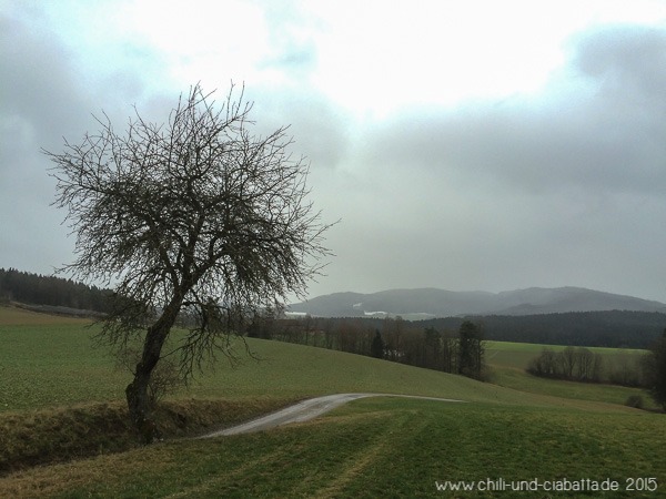 Ausblick bei Pignet