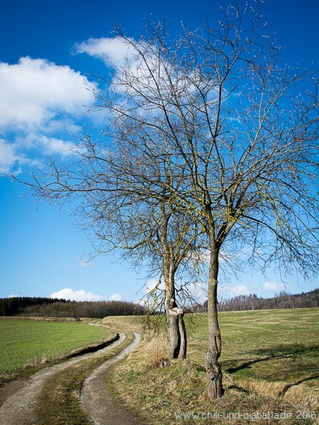 auf dem Weg