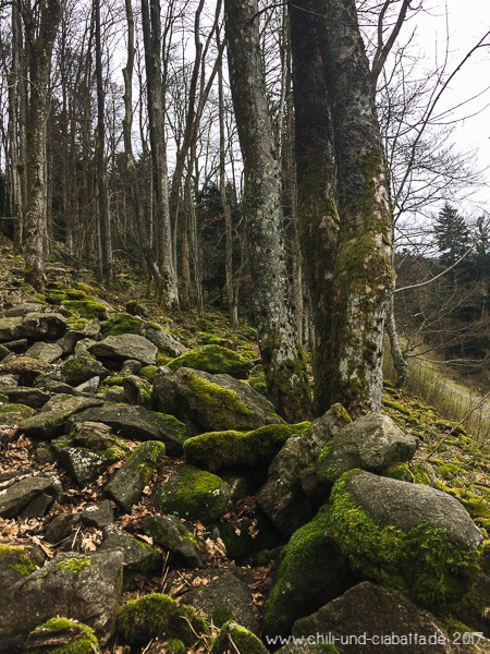 Greisinger Hochwaldweg