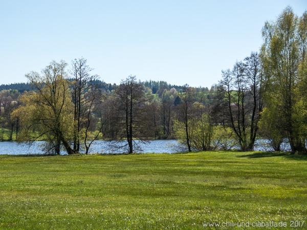 Sattes Frühlingsgrün