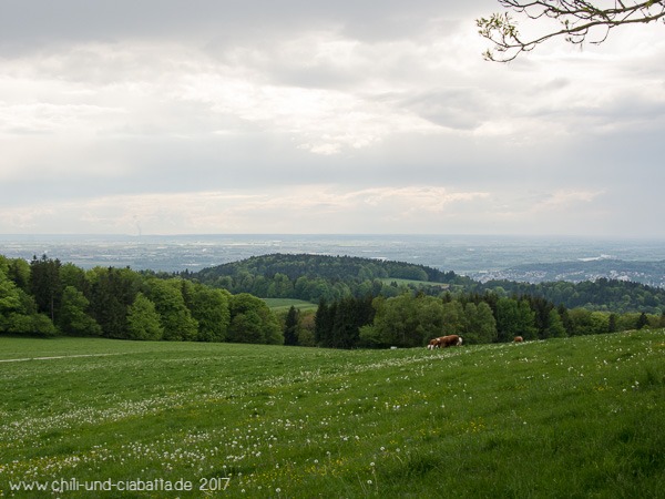 Ausblick